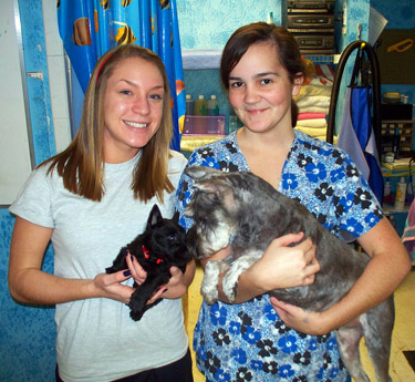 Roanoke Island animal clinic VSPN Roanoke Island animal clinic VSPN