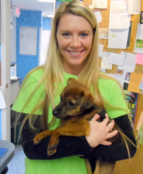 roanoke island animal clinic roanoke island animal clinic