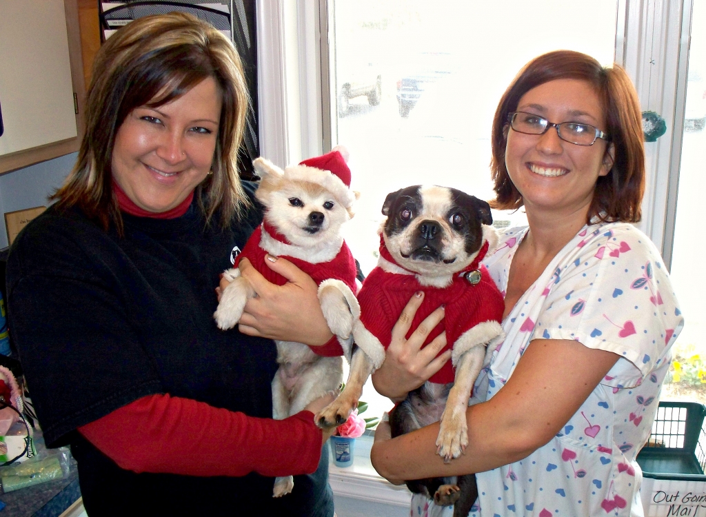 roanoke island animal clinic pet of the month roanoke island animal clinic pet of the month