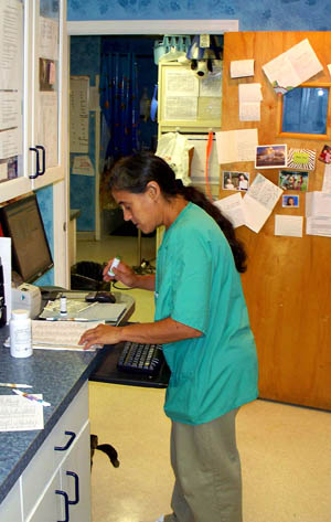 Doreen at the roanoke Island animal clinic Doreen at the roanoke Island animal clinic