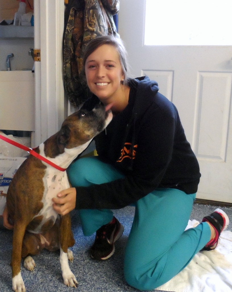 roanoke island animal clinic roanoke island animal clinic