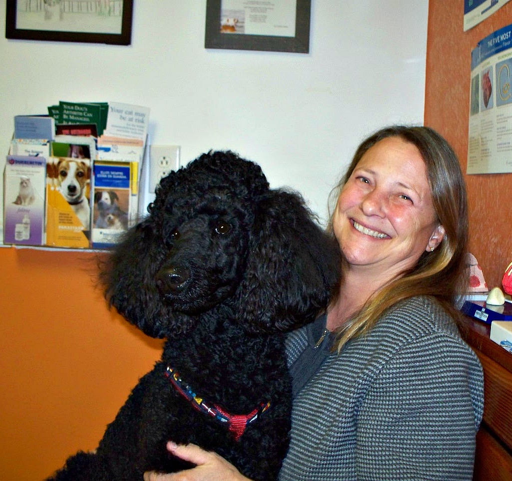 roanoke island animal clinic pet of the month roanoke island animal clinic pet of the month