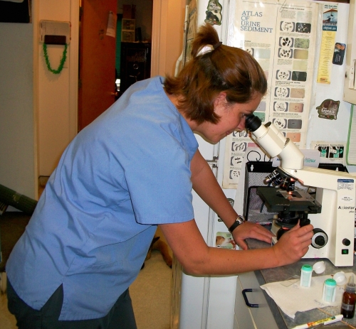 Jackie - liscensed veterinary technician at Roanoke Island Animal Clinic