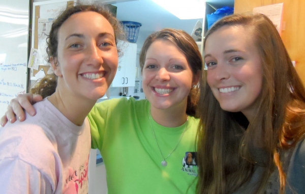 roanokesislandanimalclinic roanokesislandanimalclinic