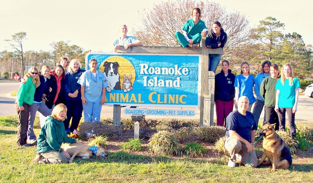 roanoke island animal clinic roanoke island animal clinic