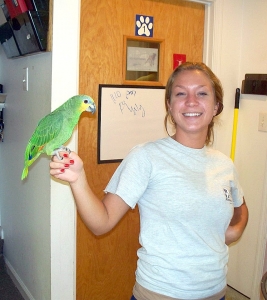 roanoke island animal clinic roanoke island animal clinic
