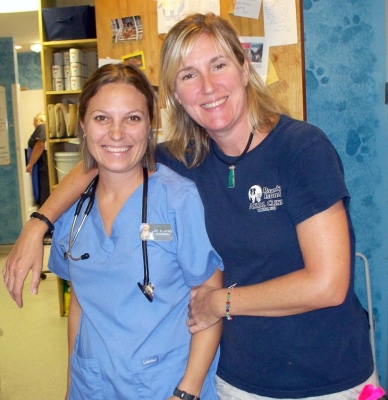 Roanoke island animal clinic