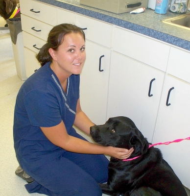 roanoke island animal clinic roanoke island animal clinic