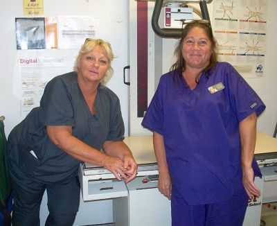 roanboke isand animnal clinic roanboke isand animnal clinic