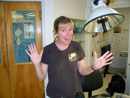 Melissa Cooper Roanoke island animal clinic Melissa Cooper Roanoke island animal clinic