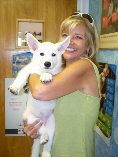 roanoke island animal clinic