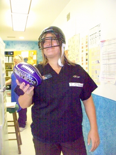 roanoke island animal clinic roanoke island animal clinic