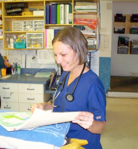 Dr Blythe Roanoke island animal clinic Dr Blythe Roanoke island animal clinic