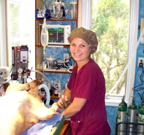 Dr blythe roanoke island animal clinic Dr blythe roanoke island animal clinic
