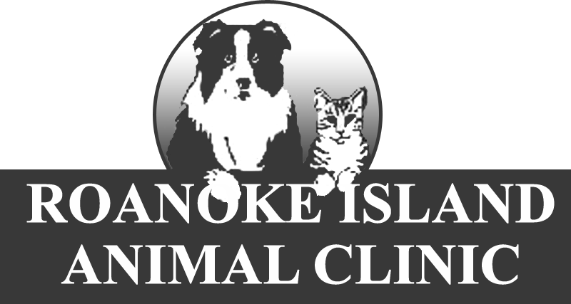 Roanoke Island Animal Clinic Logo