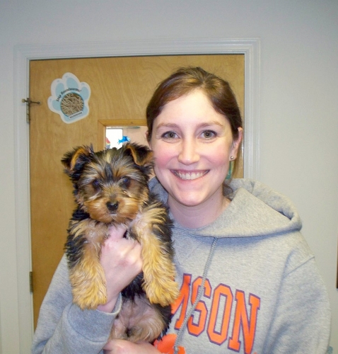roanoke island animal clinic roanoke island animal clinic