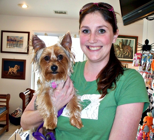 roanoke island animal clinic roanoke island animal clinic