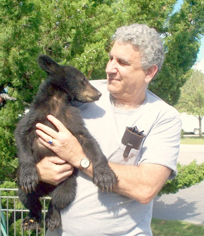 Dr Grossman roanoke island animal clinic Dr Grossman roanoke island animal clinic