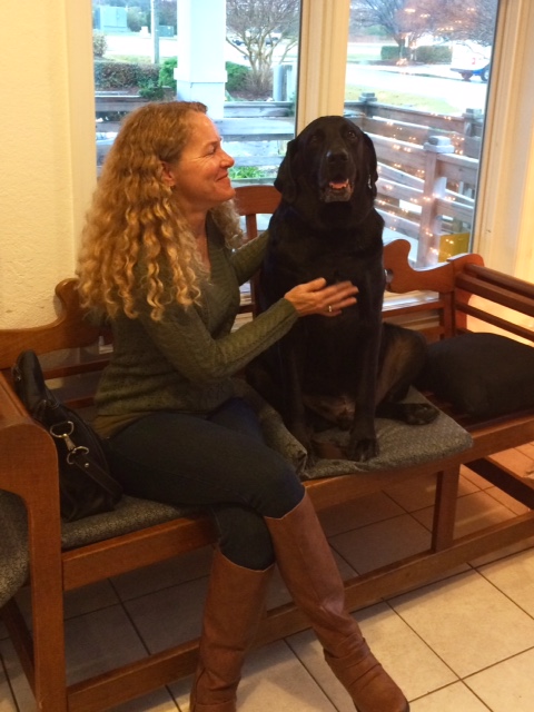 Roanoke island animal clinic Roanoke island animal clinic