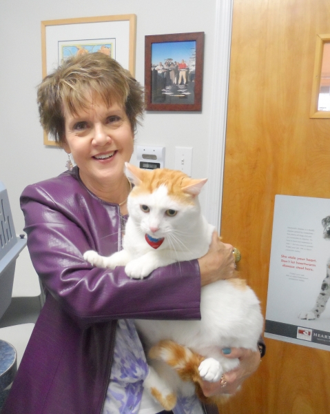 roanoke island animal clinic roanoke island animal clinic