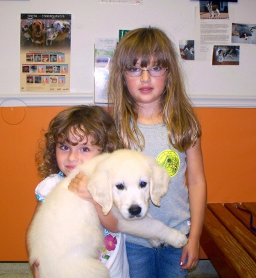 Roanokeislandanimalclinic pet of the month Roanokeislandanimalclinic pet of the month