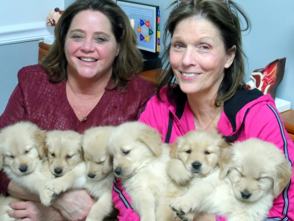 Roanoke island animal clinic Roanoke island animal clinic