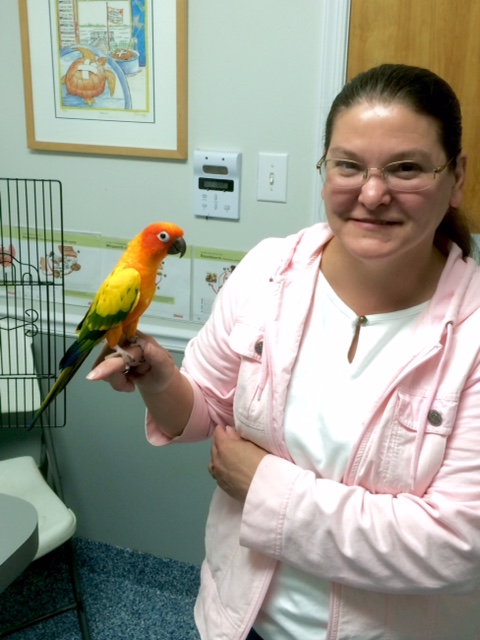 roanoke island animal clinic pet of the month roanoke island animal clinic pet of the month