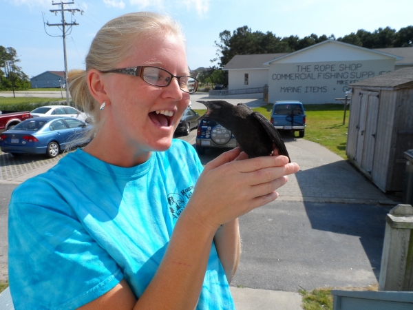 Roanoke island animal clinic Roanoke island animal clinic