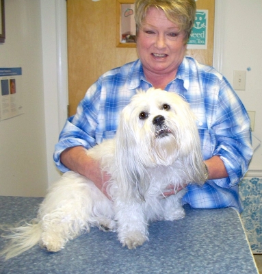 Pet of the month roanoke island animal clinic Pet of the month roanoke island animal clinic