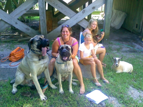 Roanoke island animal clinic pet of the month. Roanoke island animal clinic pet of the month.