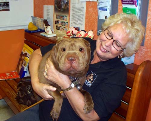 Teddy from New Jersey et of the month Roanoke Island animal clinic Teddy from New Jersey et of the month Roanoke Island animal clinic