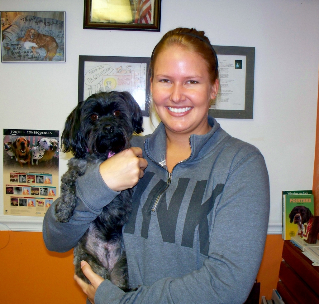 roanoke island animal clinic roanoke island animal clinic
