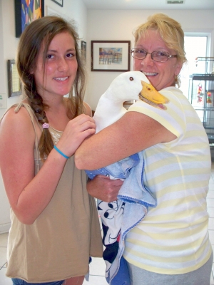 roanoke island animal clinic pet of the month roanoke island animal clinic pet of the month