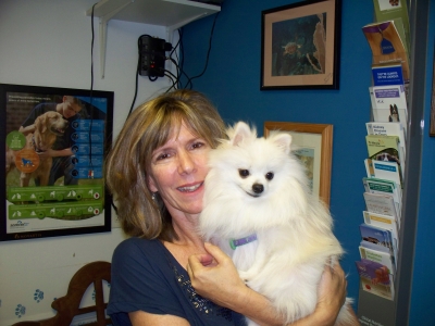 roanoke island animal clinic pet of the month roanoke island animal clinic pet of the month