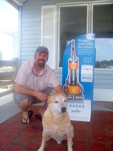 roanoke island animal clinic pet of the month roanoke island animal clinic pet of the month