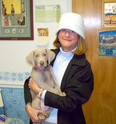 roanoke island animal clinic pet of the month roanoke island animal clinic pet of the month