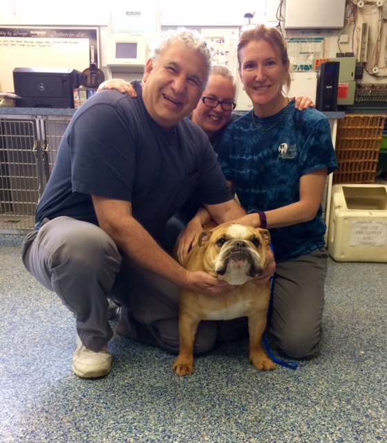 Roanoke island animal clinic Roanoke island animal clinic