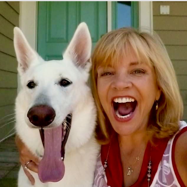 Roanoke island animal clinic Roanoke island animal clinic
