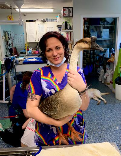 Assistant Autumn Price holds a wonderful African Goose 