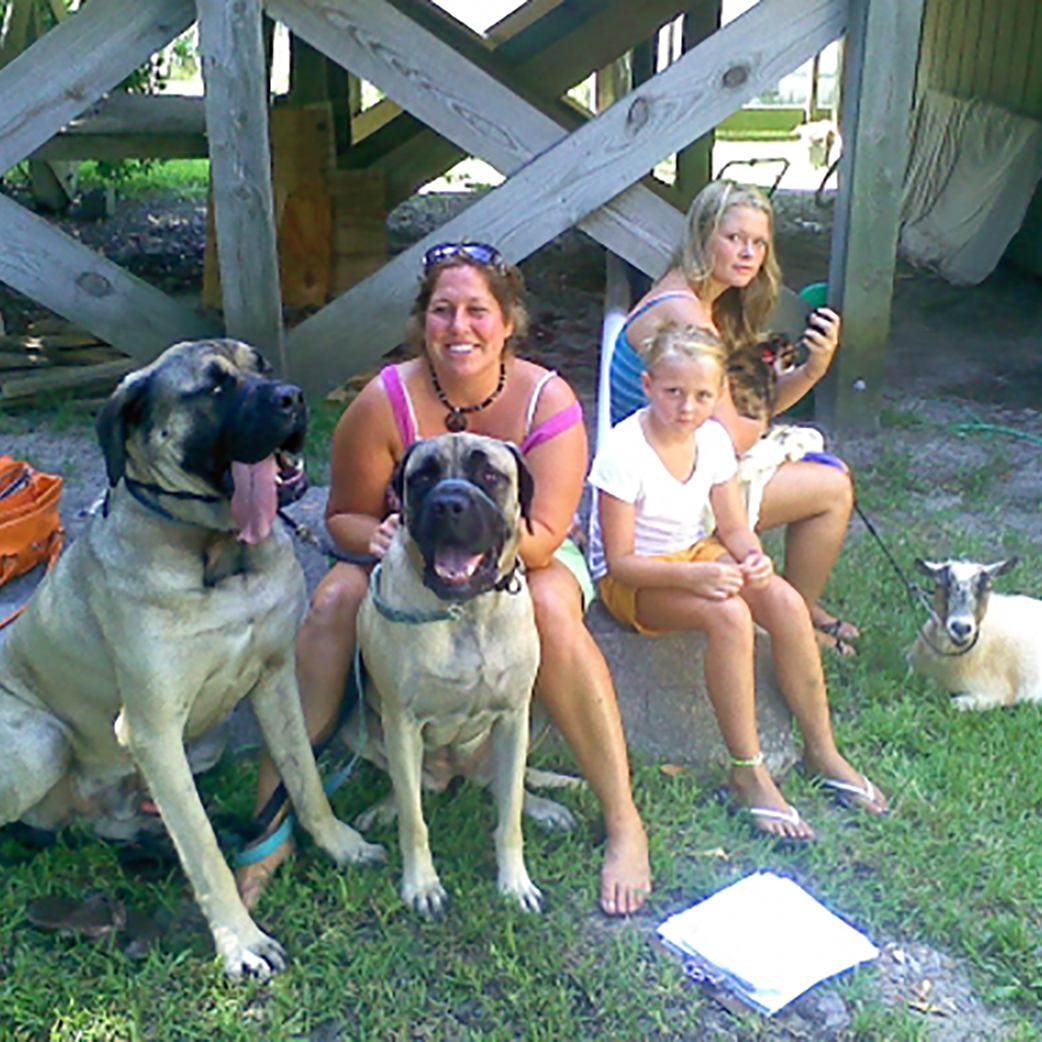 Hoss, Chloe, (Bull Mastiffs), Saphire (The Cat), and Ginger (The Goat)