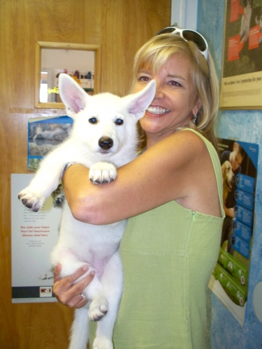 Person holding white dog